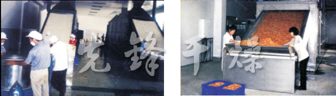 DW多層帶式干燥機 DW多層帶式干燥機