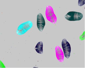 145949_553855_procont.jpg 1552287575(1).jpg