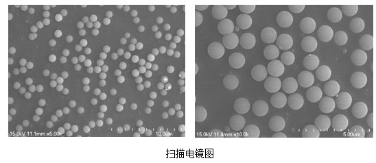 141045_818059_procont.png blob.png