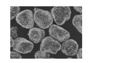 110259_334916_procont.png 圖片.png