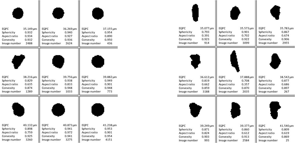 動(dòng)態(tài)圖像分析石墨粉
