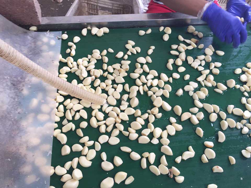 色選機|食品|再生料|礦石|履帶色選機 色選機|食品|再生料|礦石|履帶色選機