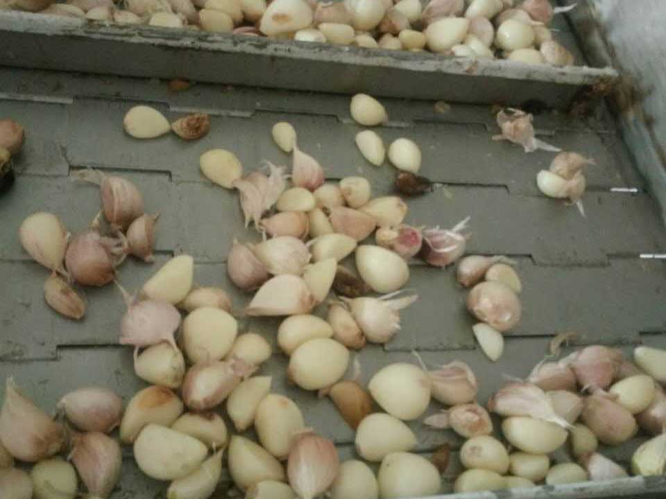 色選機|食品|再生料|礦石|履帶色選機 色選機|食品|再生料|礦石|履帶色選機