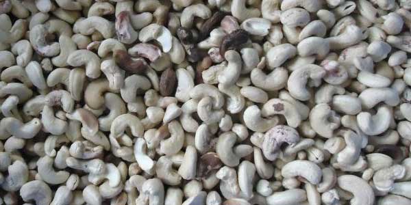 色選機(jī)|食品|再生料|礦石|履帶色選機(jī)