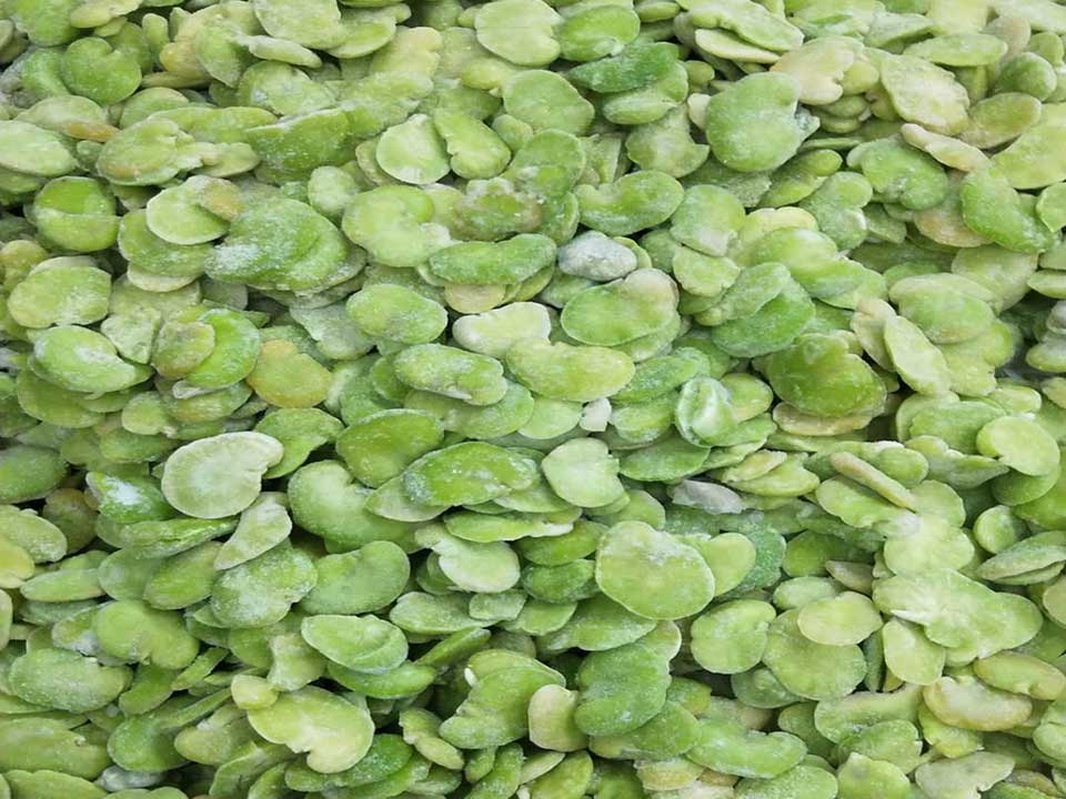 色選機|食品|再生料|礦石|履帶色選機 色選機|食品|再生料|礦石|履帶色選機