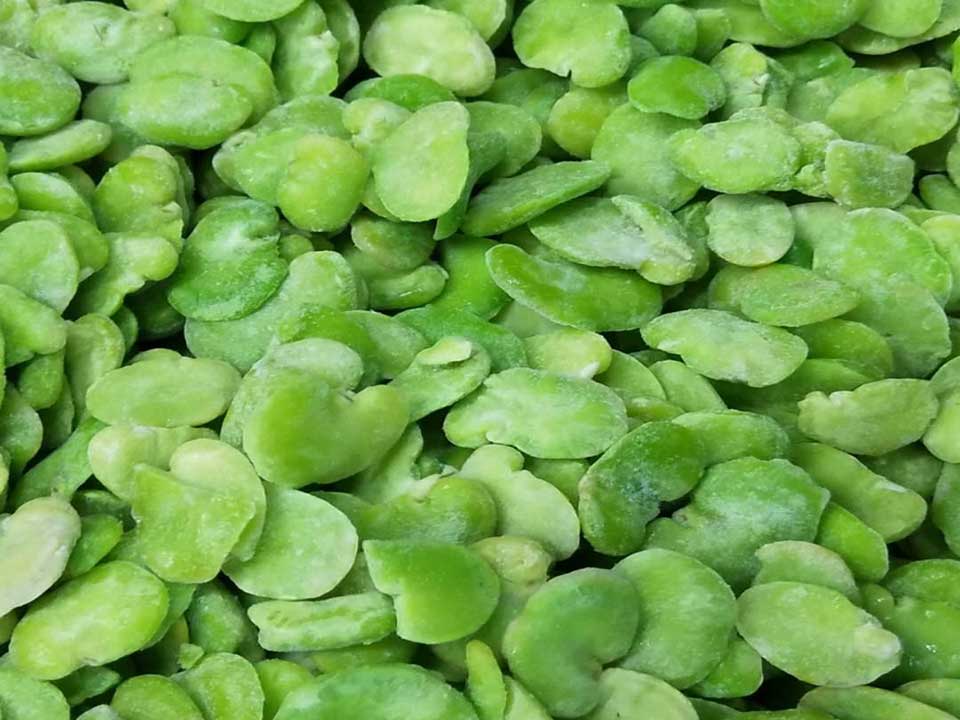 色選機|食品|再生料|礦石|履帶色選機 色選機|食品|再生料|礦石|履帶色選機