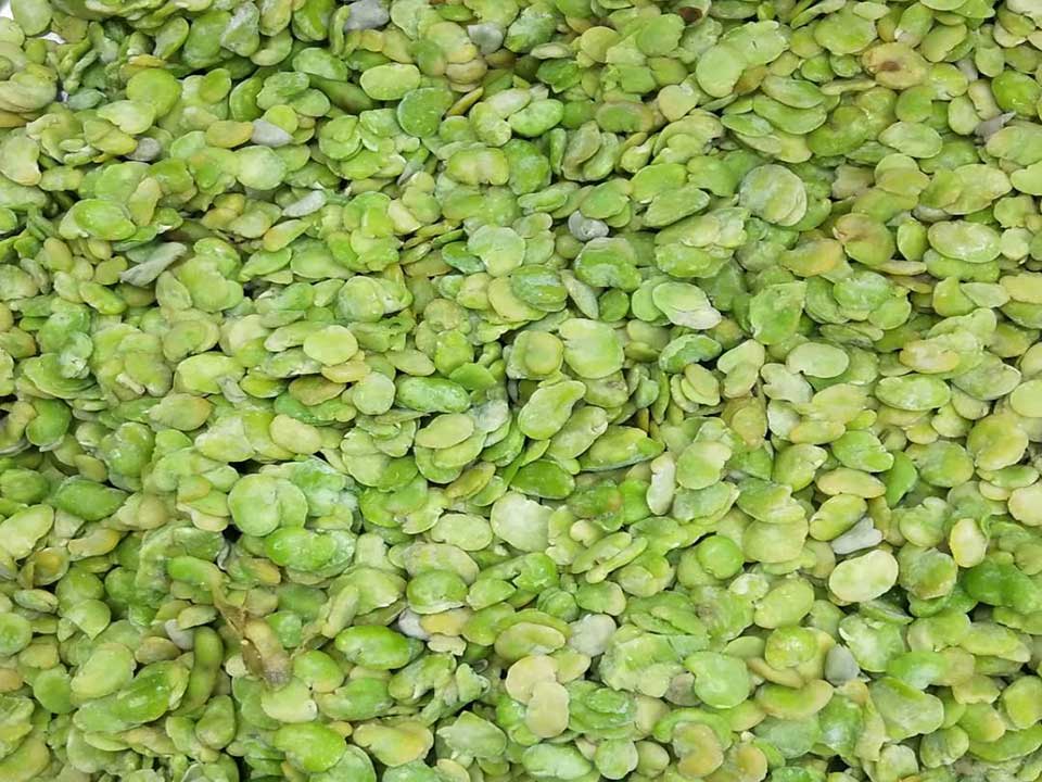 色選機|食品|再生料|礦石|履帶色選機 色選機|食品|再生料|礦石|履帶色選機