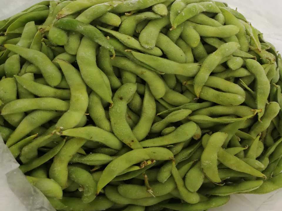 色選機|食品|再生料|礦石|履帶色選機 色選機|食品|再生料|礦石|履帶色選機