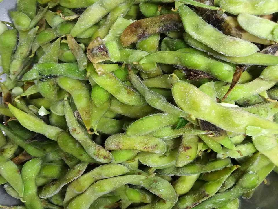 色選機|食品|再生料|礦石|履帶色選機 色選機|食品|再生料|礦石|履帶色選機