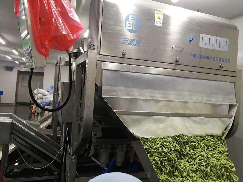 色選機|食品|再生料|礦石|履帶色選機 色選機|食品|再生料|礦石|履帶色選機