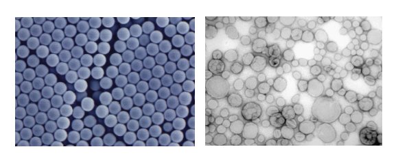 165134_129927_procont.png 27.png