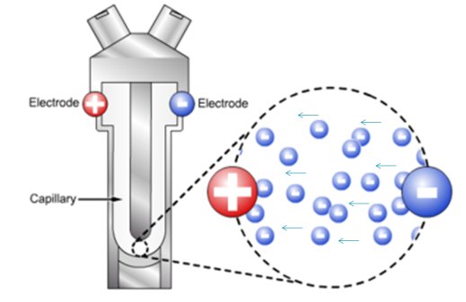 193434_717523_procont.png 23.png