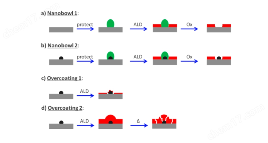 forge-P5.jpeg forge-P5.jpeg