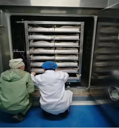 141809_326333_procont.png image.png