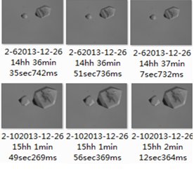 151705_290910_procont.jpg 1710400617929(1).jpg