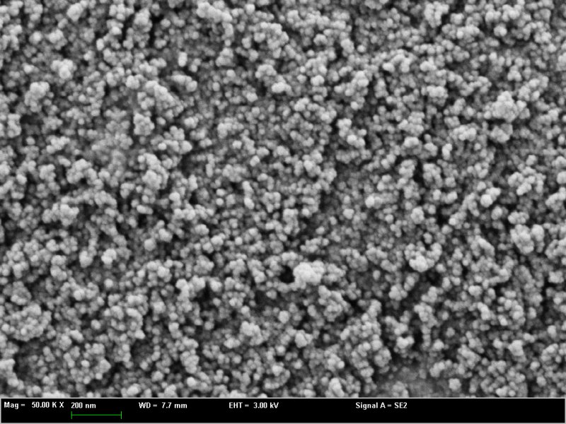 145111_242690_procont.png 微信圖片_20240925133321.png