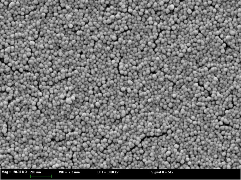 145220_160008_procont.png 微信圖片_20240925133335.png