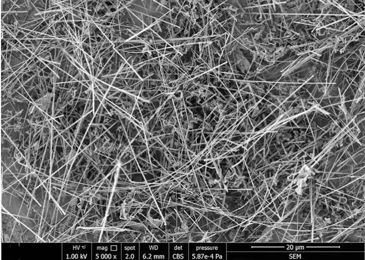 124444_886855_procont.png 微信截圖_20250226124418.png