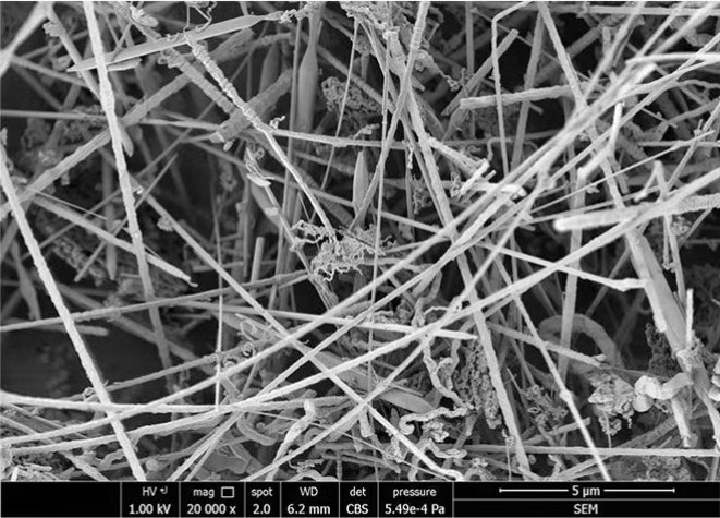 124535_353620_procont.png 微信截圖_20250226124504.png