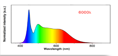 cd36fc0f-35f8-4540-9813-910022180610.png cd36fc0f-35f8-4540-9813-910022180610.png