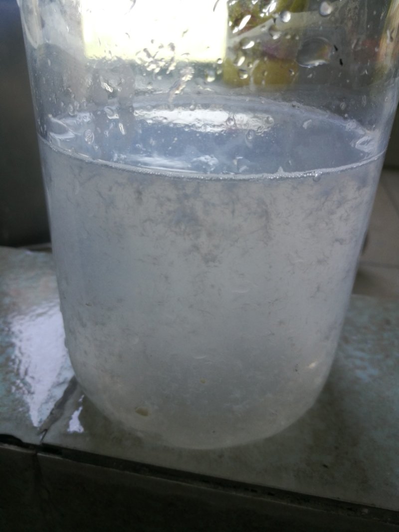 152700_492913_procont.jpg 華邁 豬皮 (1).jpg