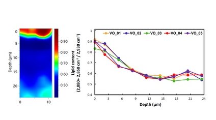 133539_895508_procont.png image.png