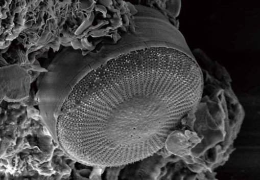 181218_219871_procont.png 圖片16.png