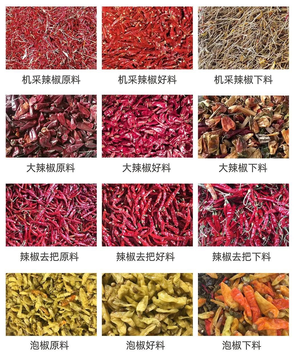 094430_833990_ue_procont.jpg 640 (9).jpg