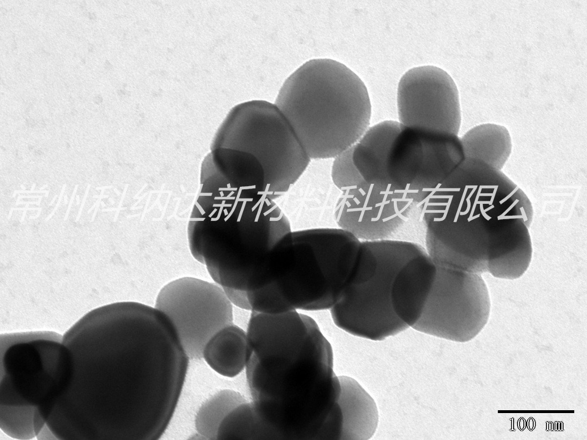 tb50 電鏡圖01.jpg