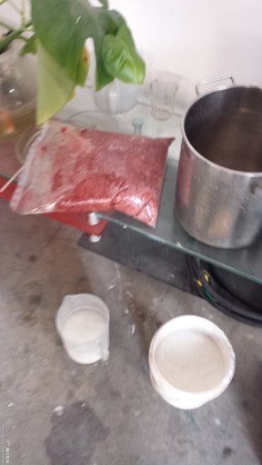 0524102509_480974.jpg 豬脾臟2.JPG