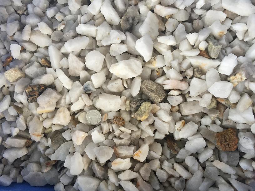 0324103308_047700.jpg 原料小.JPG