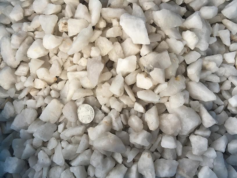 0324103338_833102.jpg 好料小.JPG