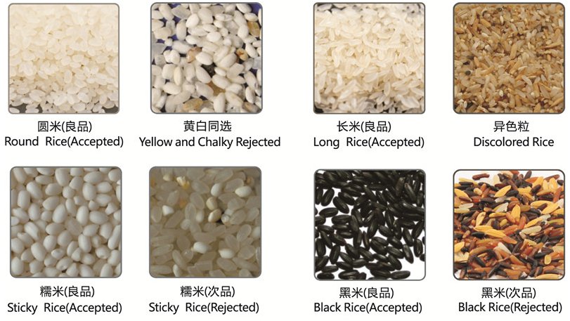 0911100612_877362.png blob.png