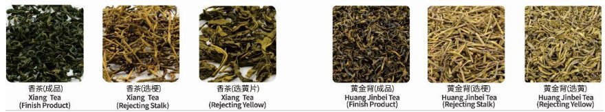 0911102653_689483.png blob.png